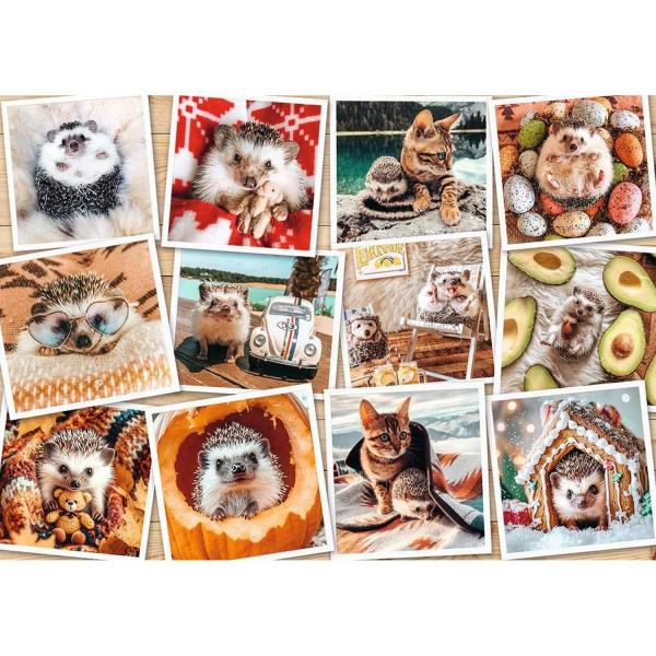 Puzzle 1500 Teile: Niedliche Tierfoto - Nathan-12001619
