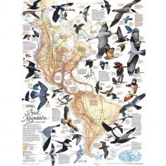 Puzzle 1000 pièces : Migration des oiseaux