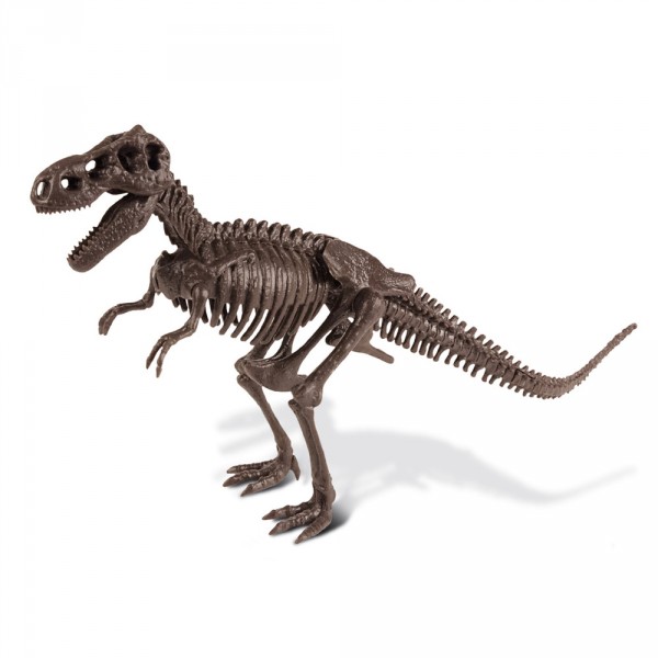 Kit excavation : Tyrannosaurus Rex - Neotilus-CL1823K-3