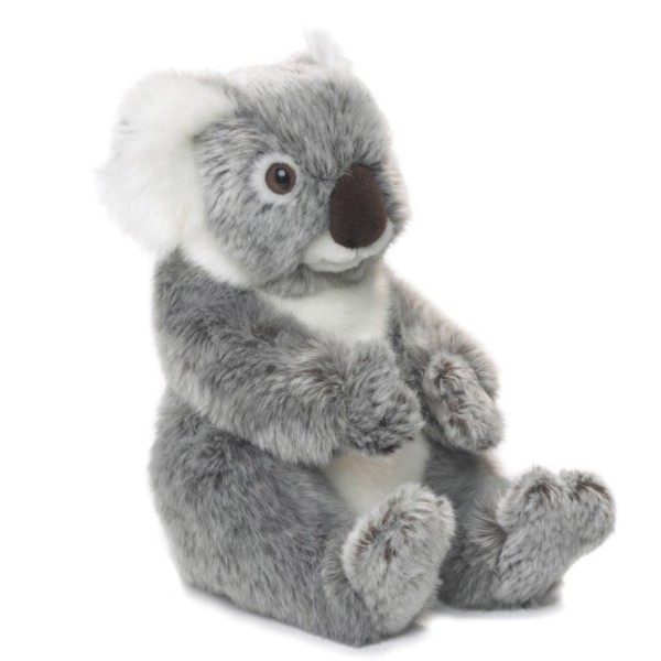 Peluche : WWF Koala 22 cm - Neotilus-15186002