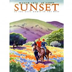 Puzzle 500 pièces : Chevaux dans les Collines