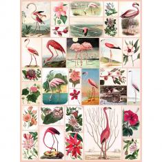 Puzzle 1000 pièces : Flamingos and Flowers