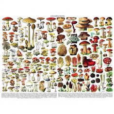 1000 piece puzzle : Mushrooms Champignons