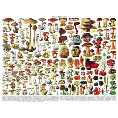 Puzzle 1000 pièces : Mushrooms Champignons