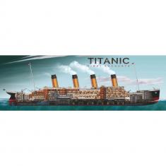 Puzzle 1000 pièces panoramique : Titanic First Accounts