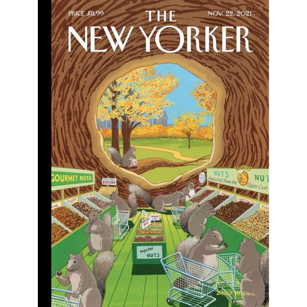 1000 piece puzzle : Season's Special - Newyork-NPZNY2259