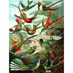 1000 piece puzzle : Hummingbirds