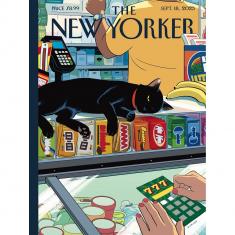 1000 pieces Puzzle : Jordan - Bodega Cat 