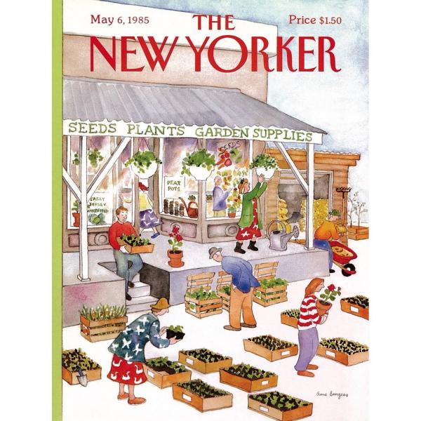  Puzzle 500 pièces : Fournitures de jardin - NYPNPZNY2446