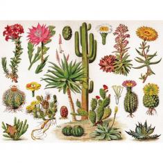 Puzzle 1000 pièces : cactus
