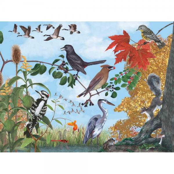 Puzzle de 1000 piezas: Sendero de otoño - NPZCB2159