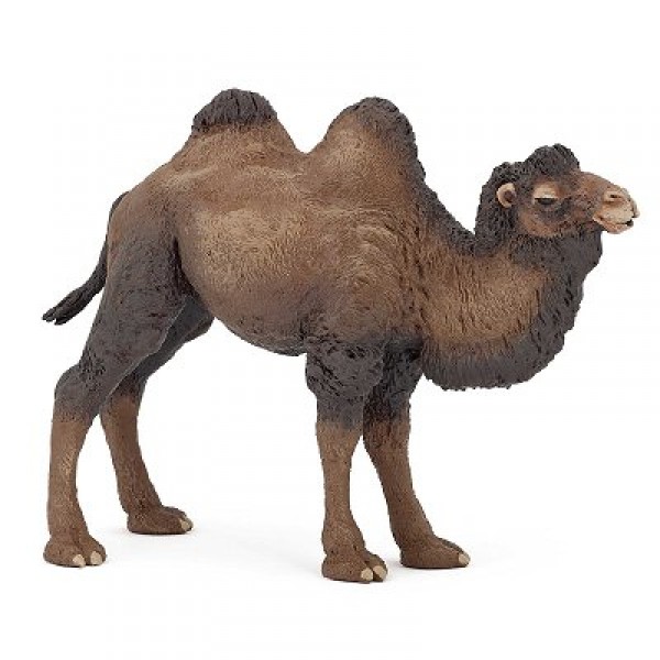 Bactrian Camel Figurine - Papo-50129