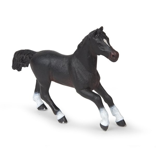 Figurine Cheval anglo-arabe noir : Jument - Papo-51529