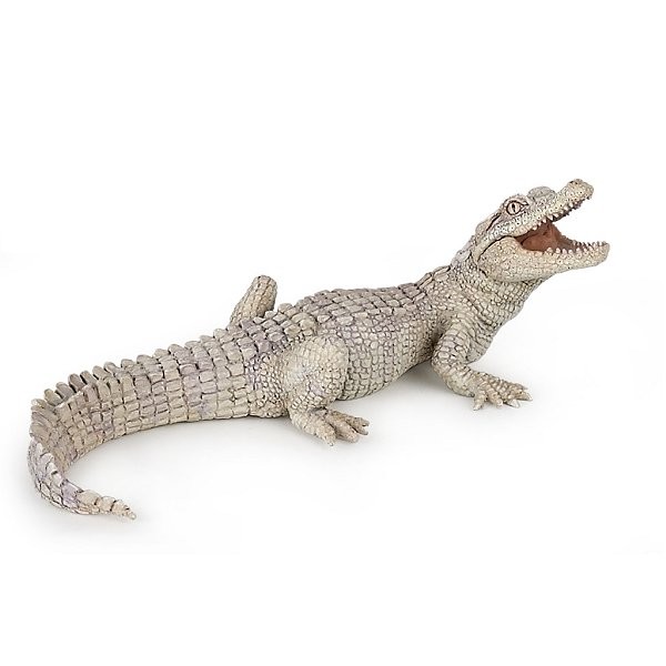 Figurine Crocodile blanc : Bébé - Papo-50141