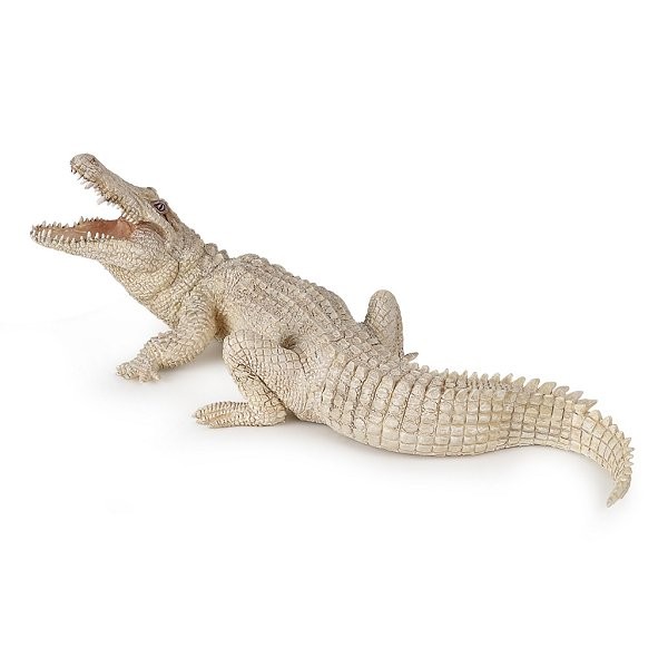 Figurine Crocodile blanc - Papo-50140