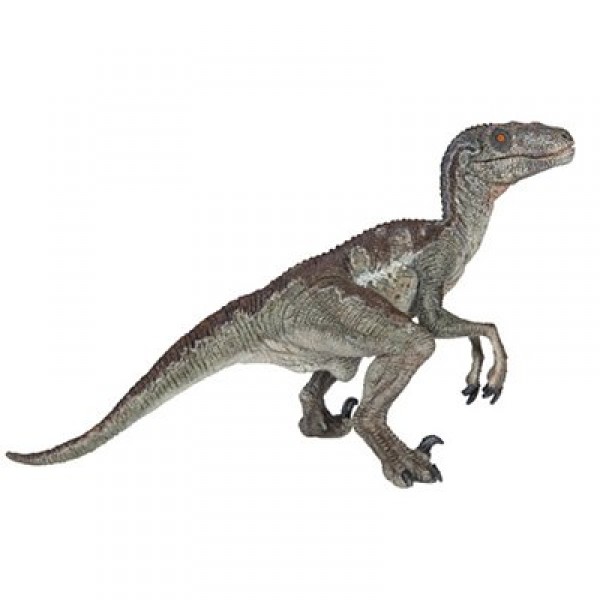 Figurine Dinosaure : Vélociraptor - Papo-55023