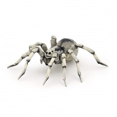 Figura de araña: Tarántula