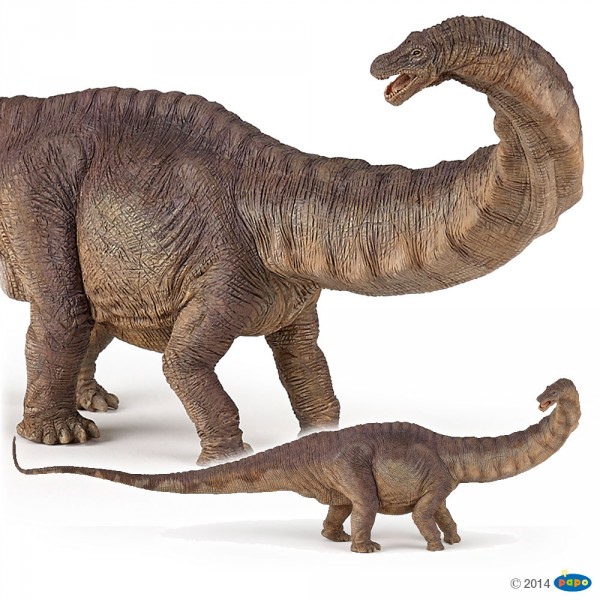 Figura de dinosaurio: Apatosaurus - Papo-55039