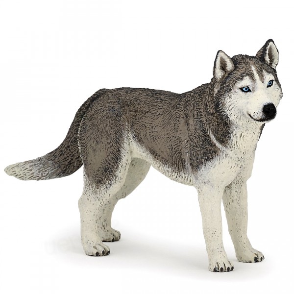 Figura de perro: Husky siberiano - Papo-54035