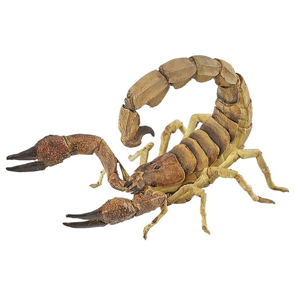Figurine : Scorpion - Papo-50209