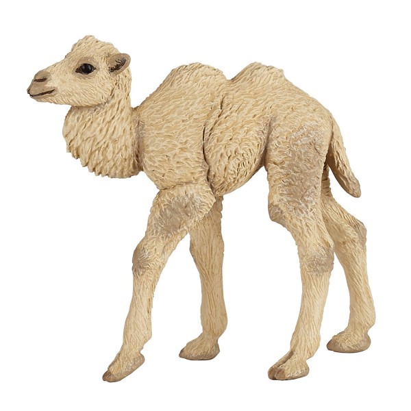 Figurine Bébé chameau - Papo-50221
