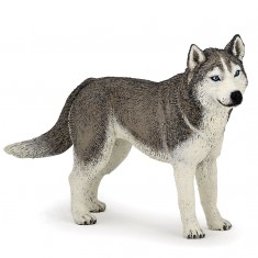 Figurine chien : Husky de Sibérie
