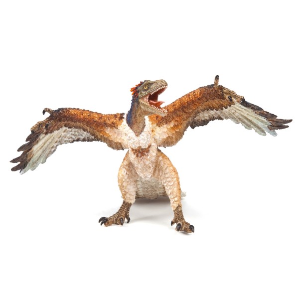 Figurine Dinosaure : Archeopteryx - Papo-55034