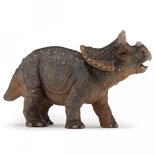 Figurine dinosaure : Jeune tricératops - Papo-55036