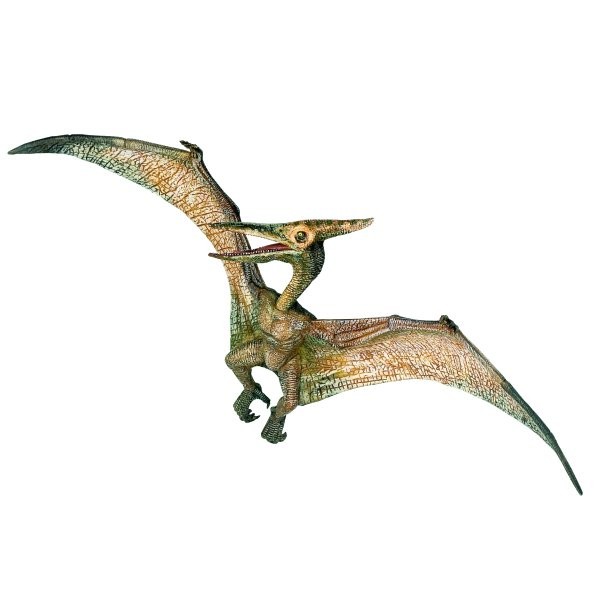 Figurine Dinosaure : Ptéranodon - Papo-55006