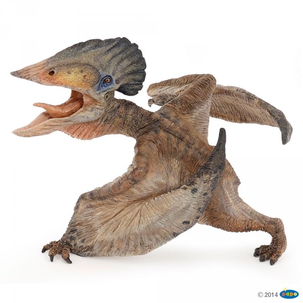 Figurine Dinosaure : Tupuxuara - Papo-55038