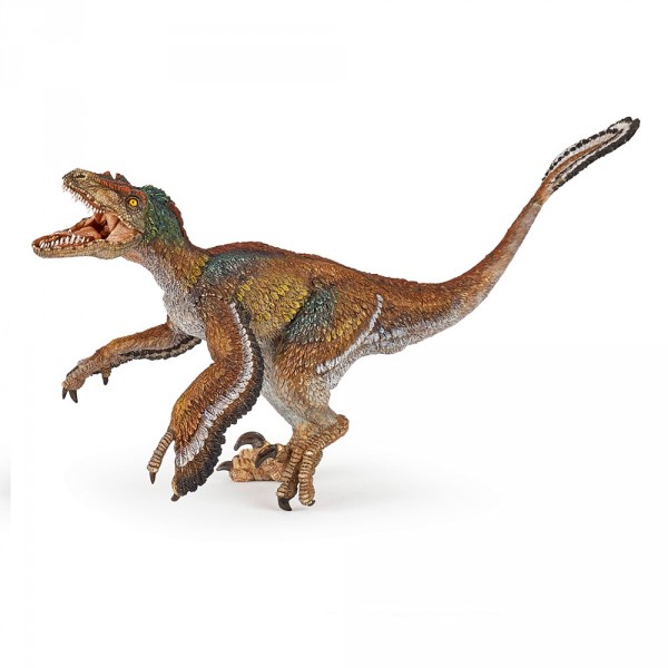 Figurine dinosaure : Vélociraptor à plumes - Papo-55055