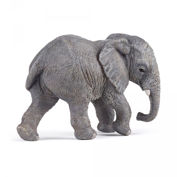 Figurine Jeune Elephant d'Afrique - Papo-50169