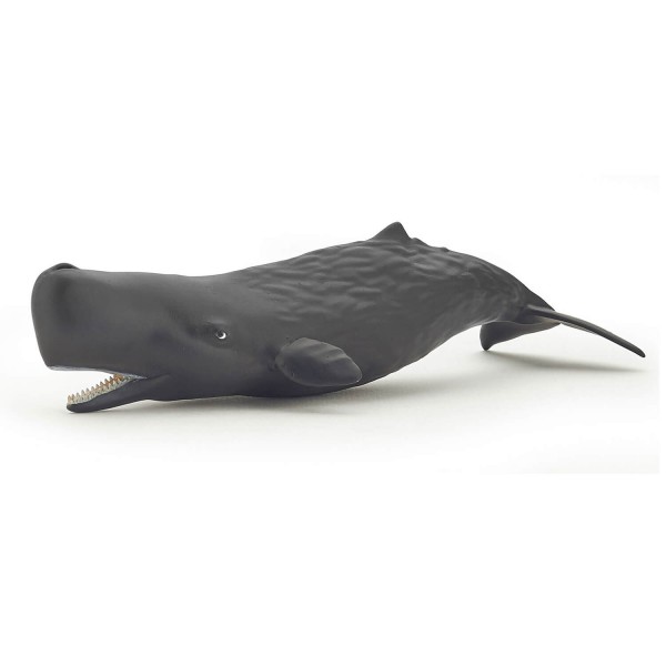 Baby Sperm Whale Figurine - Papo-56045