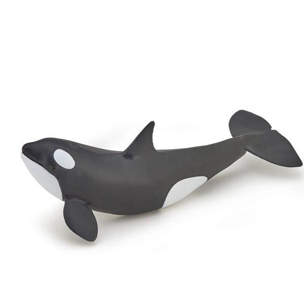 Baby-Orca-Figur - Papo-56040