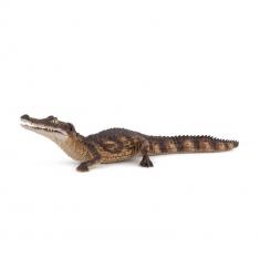 Figure: Caiman