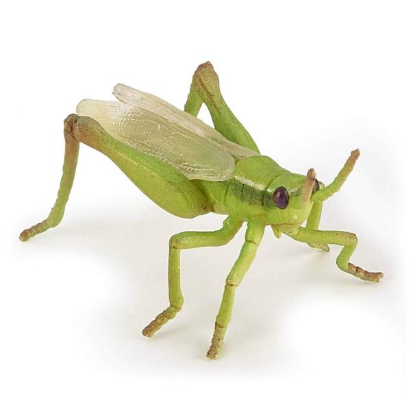 Grasshopper Figurine - Papo-50268