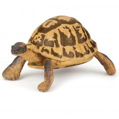 Figura de la tortuga de Hermann