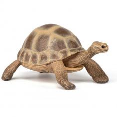 Figura de la tortuga de Hermann