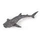 Miniature Figurine: Young whale shark