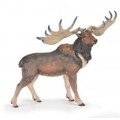 Figura megaloceros