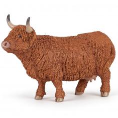 Highland Cow