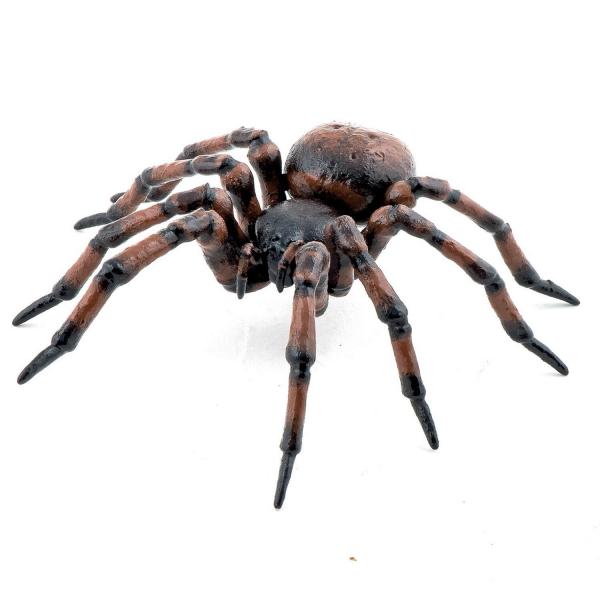 Common Spider Figurine - Papo-50292