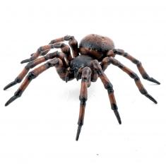 Figura de araña común