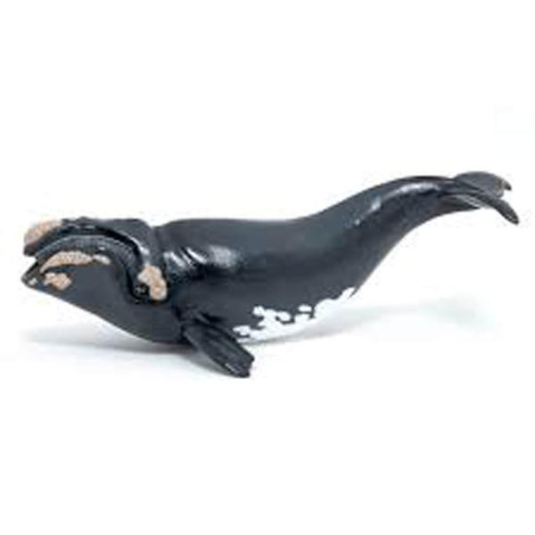 Figurine Baleine franche - Papo-56057