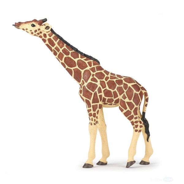 Figura jirafa con cabeza levantada. - Papo-50236