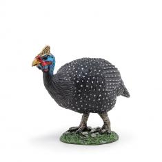 Guinea fowl