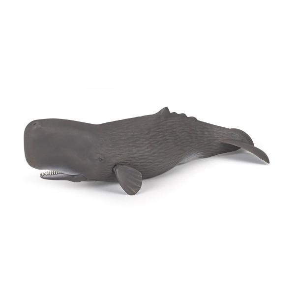 Sperm whale figurine - Papo-56036