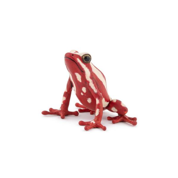 Tricolor Arrow Frog - Papo-50315