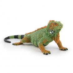 Iguane