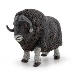 Musk ox